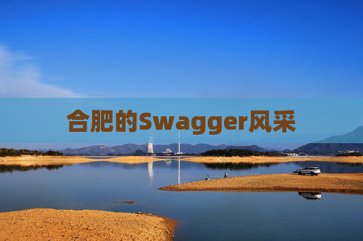 合肥的Swagger风采